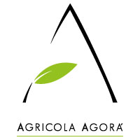 Olio Smeraldo di Agricola Agorà